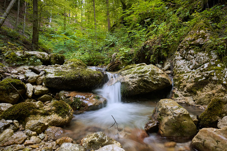 Doživljajski park narave Uršlja gora_Avtor_Tomo Jeseničnik